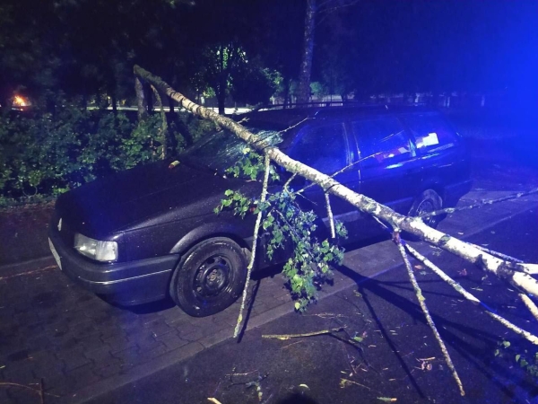 Настоящая стихия прошлась ночью по Бресту Настоящая стихия прошлась ночью по Бресту