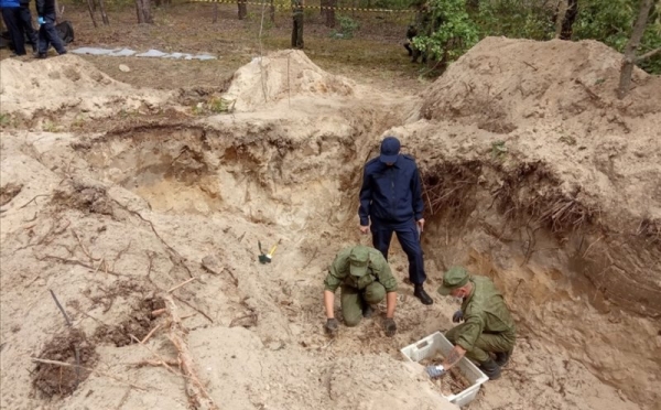 Останки 26 расстрелянных жителей в период ВОВ нашли во время раскопок в Брестской области