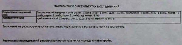 В белорусской деревне из озера достали 3 тонны мертвой рыбы. Что случилось? В белорусской деревне из озера достали 3 тонны мертвой рыбы. Что случилось?