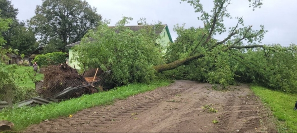 В МЧС рассказали, что натворила непогода в Брестской области В МЧС рассказали, что натворила непогода в Брестской области