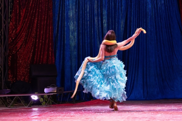 ВПЕРВЫЕ! Цирк-шапито «SIRIUS» представит в Бресте новое экстрим-шоу «Колумбийский форсаж» ВПЕРВЫЕ! Цирк-шапито «SIRIUS» представит в Бресте новое экстрим-шоу «Колумбийский форсаж»