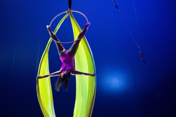 ВПЕРВЫЕ! Цирк-шапито «SIRIUS» представит в Бресте новое экстрим-шоу «Колумбийский форсаж» ВПЕРВЫЕ! Цирк-шапито «SIRIUS» представит в Бресте новое экстрим-шоу «Колумбийский форсаж»