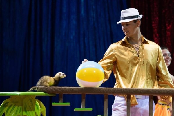 ВПЕРВЫЕ! Цирк-шапито «SIRIUS» представит в Бресте новое экстрим-шоу «Колумбийский форсаж» ВПЕРВЫЕ! Цирк-шапито «SIRIUS» представит в Бресте новое экстрим-шоу «Колумбийский форсаж»