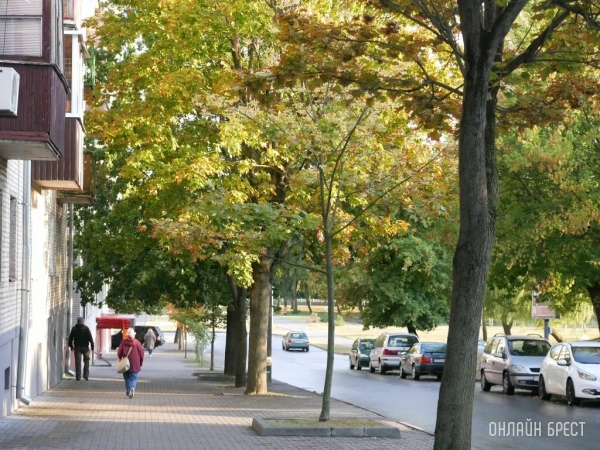 Белгидромет: в Беларуси с октября похолодает