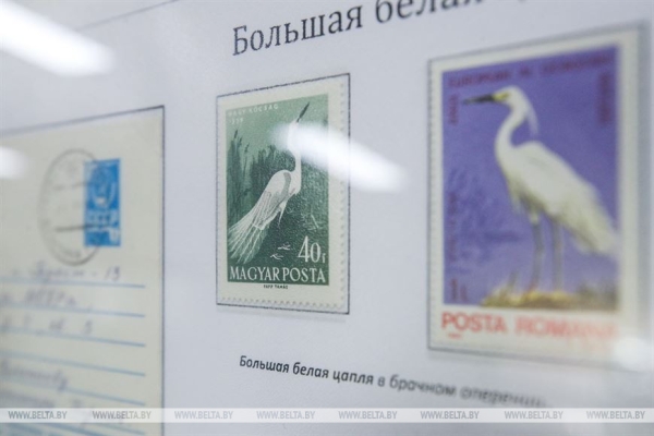 Коллекции из семи стран представлены в Бресте на филателистической выставке для детей и молодежи Коллекции из семи стран представлены в Бресте на филателистической выставке для детей и молодежи