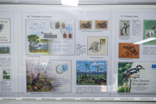 Коллекции из семи стран представлены в Бресте на филателистической выставке для детей и молодежи Коллекции из семи стран представлены в Бресте на филателистической выставке для детей и молодежи