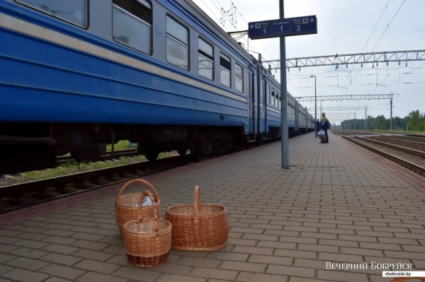 «Лисичек сдавали на 800 рублей, черники – на 1000, корзин продали на 3 тысячи». Как семья подрабатывает на дарах природы