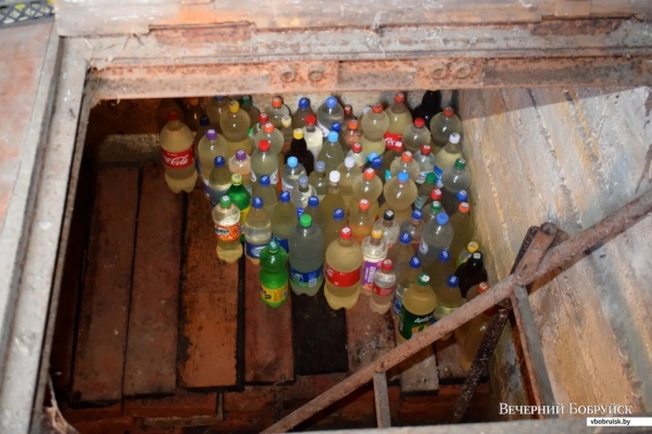 «Лисичек сдавали на 800 рублей, черники – на 1000, корзин продали на 3 тысячи». Как семья подрабатывает на дарах природы