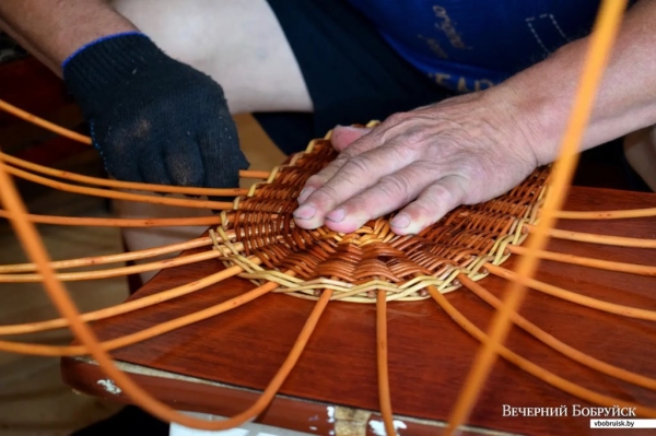 «Лисичек сдавали на 800 рублей, черники – на 1000, корзин продали на 3 тысячи». Как семья подрабатывает на дарах природы