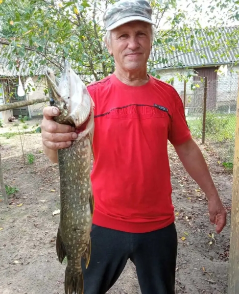 «Лисичек сдавали на 800 рублей, черники – на 1000, корзин продали на 3 тысячи». Как семья подрабатывает на дарах природы