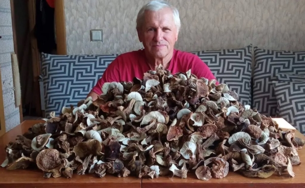 «Лисичек сдавали на 800 рублей, черники – на 1000, корзин продали на 3 тысячи». Как семья подрабатывает на дарах природы