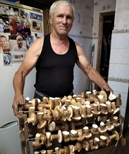 «Лисичек сдавали на 800 рублей, черники – на 1000, корзин продали на 3 тысячи». Как семья подрабатывает на дарах природы