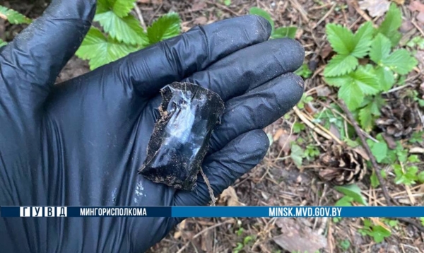 Поход за «дарами леса» закончился для молодого белоруса арестом