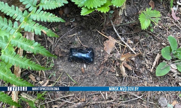 Поход за «дарами леса» закончился для молодого белоруса арестом