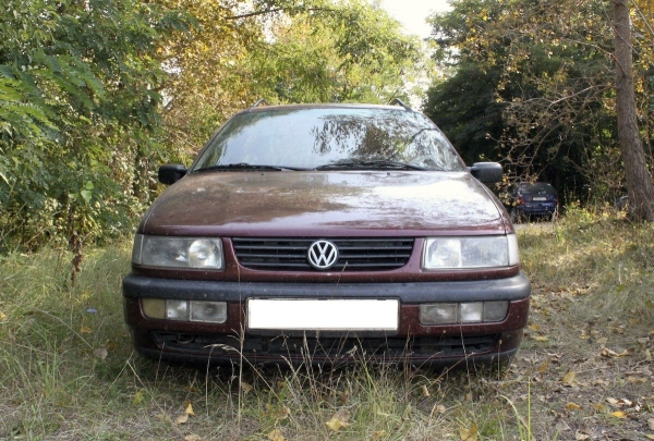 Брестчанин превратил VW Passat (B4) в «кветкамобиль»