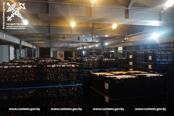 Брестские таможенники установили два факта незаконного ввоза в Беларусь луковиц тюльпанов Брестские таможенники установили два факта незаконного ввоза в Беларусь луковиц тюльпанов