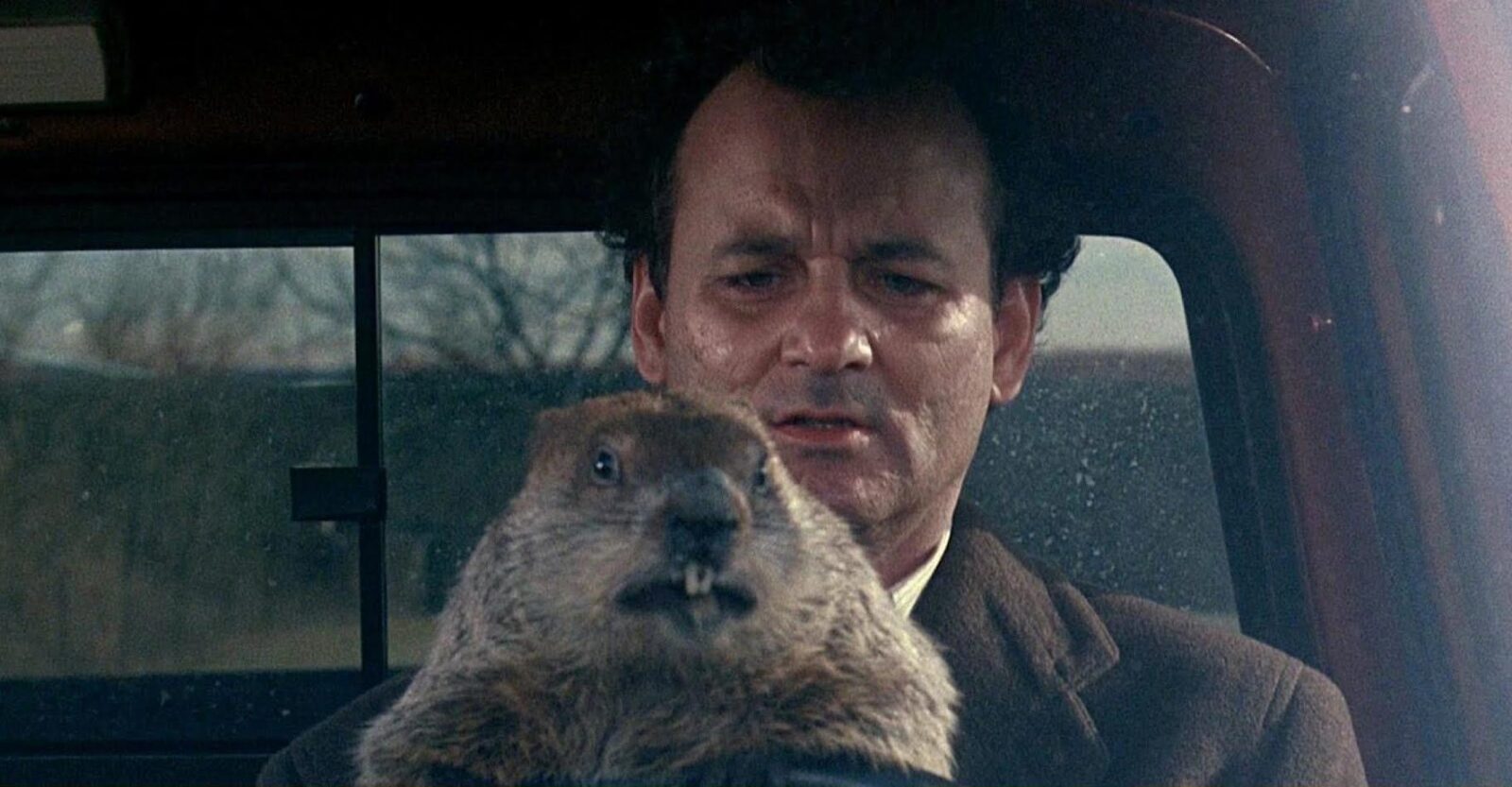 Пять фильмов, после которых вам захочется улыбаться