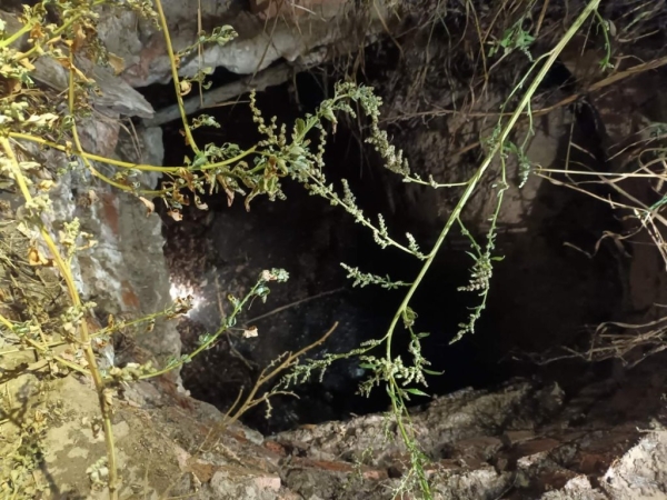 Мальчик с собакой упал в колодец в Гомельской области. Его спасли сотрудники МЧС Мальчик с собакой упал в колодец в Гомельской области. Его спасли сотрудники МЧС