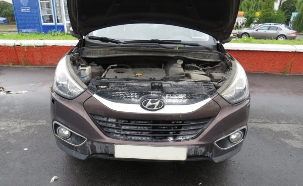 Пенсионерка в Гомеле подожгла два автомобиля по указанию мошенников