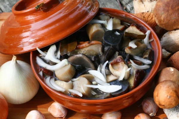 С какого возраста можно есть грибы? Кому нельзя есть грибы? Есть ли безопасная доза грибов? Что нужно знать