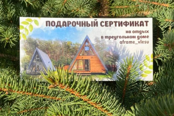 Тренд 2023 года! Треугольные домики в лесу, в которых обязательно стоит побывать! Тренд 2023 года! Треугольные домики в лесу, в которых обязательно стоит побывать!