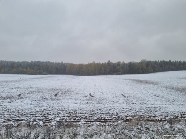 В Беларуси выпал снег