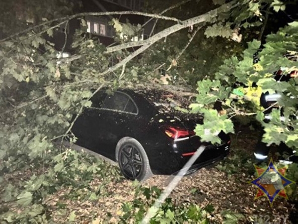 В Брестской области сильный ветер валил деревья и пролеты железобетонных заборов. Сколько автомобилей пострадало? В Брестской области сильный ветер валил деревья и пролеты железобетонных заборов. Сколько автомобилей пострадало?