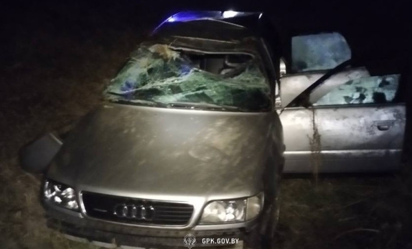 Водитель разбил Audi, удирая от пограничников Водитель разбил Audi, удирая от пограничников