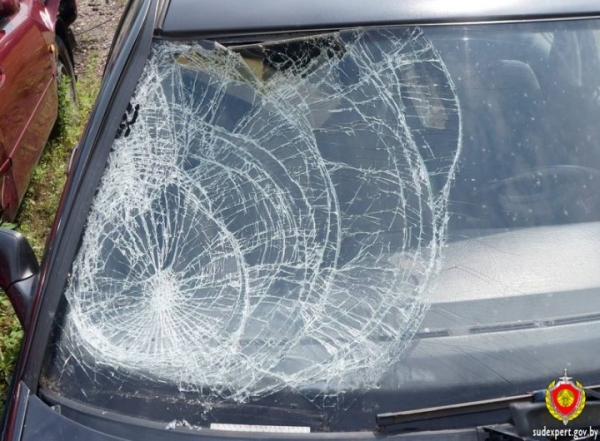 Водителя, сбившего велосипедиста, вычислили по осколкам фар и лобовика авто Водителя, сбившего велосипедиста, вычислили по осколкам фар и лобовика авто