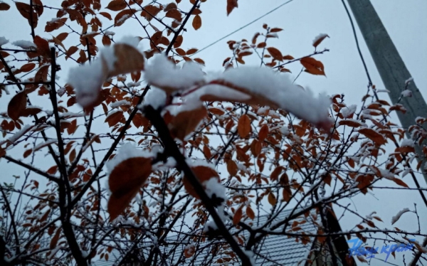 Атмосфера волшебства в Барановичах. Читатели «НК» поделились фотографиями первого снега Атмосфера волшебства в Барановичах. Читатели «НК» поделились фотографиями первого снега