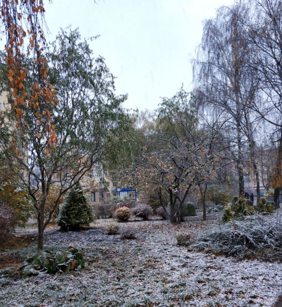 Атмосфера волшебства в Барановичах. Читатели «НК» поделились фотографиями первого снега Атмосфера волшебства в Барановичах. Читатели «НК» поделились фотографиями первого снега