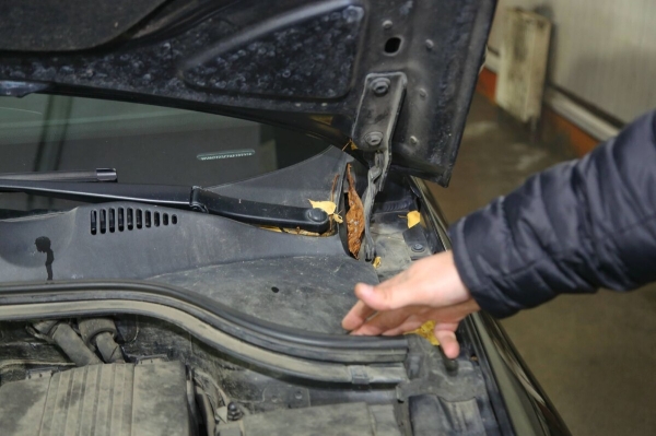 Белорус купил бензиновый VW Passat (B6) за $6 800. Проверили, стоил ли он своих денег