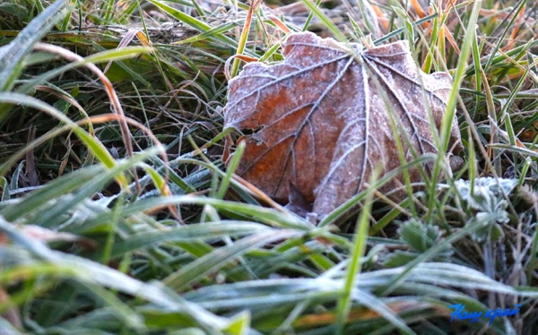  Бушующие ветры идут на Брестчину. Не обойдется и без осадков