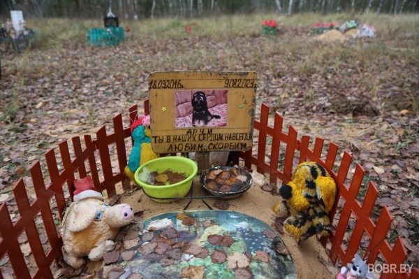 «Чипашка, спасибо за службу». Как выглядит стихийное кладбище домашних животных в Бобруйске