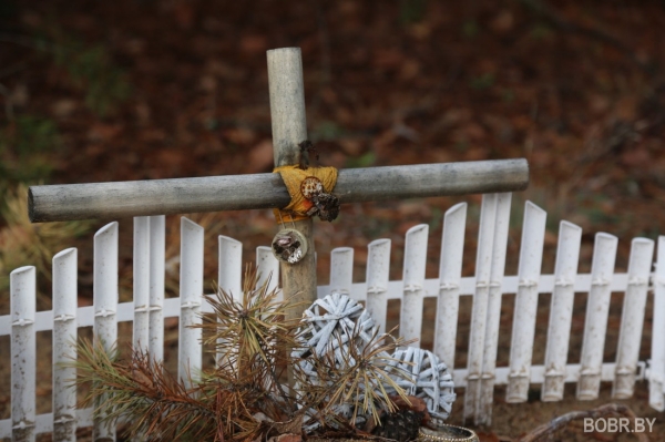 «Чипашка, спасибо за службу». Как выглядит стихийное кладбище домашних животных в Бобруйске