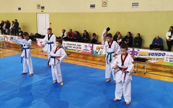 Юные спортсмены из Барановичей отлично проявили себя на турнире по тхэквондо