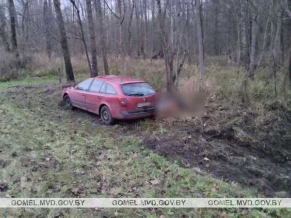 Лось стал причиной ДТП со смертельным исходом