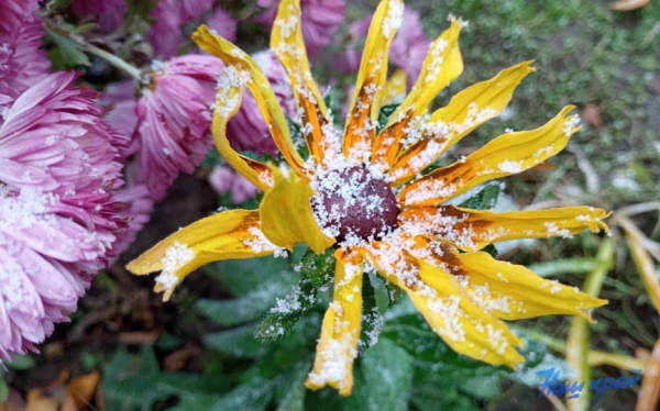 Первый снег в Барановичах. Фото и видео