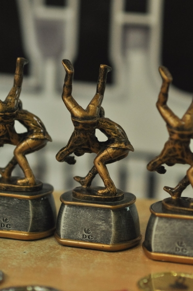 Праздник удался. Республиканский турнир по самбо прошел в Барановичах Праздник удался. Республиканский турнир по самбо прошел в Барановичах