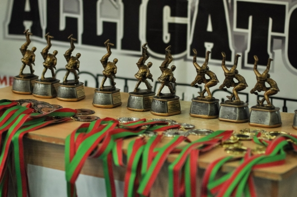 Праздник удался. Республиканский турнир по самбо прошел в Барановичах Праздник удался. Республиканский турнир по самбо прошел в Барановичах