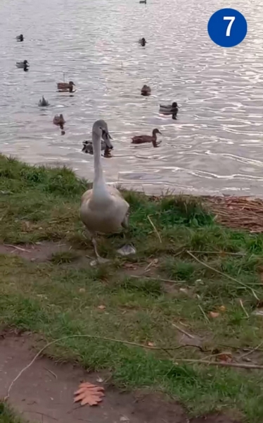 Проект «Это красиво: Барановичский край на фото». Голосование в четвертом туре