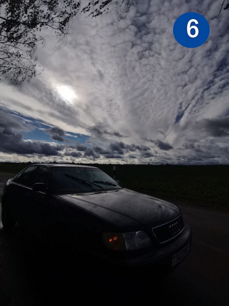 Проект «Это красиво: Барановичский край на фото». Голосование в четвертом туре