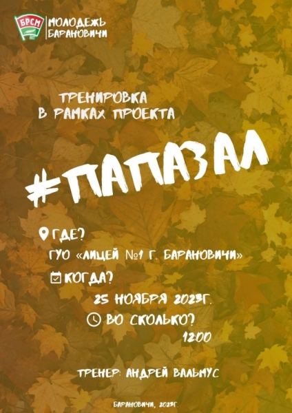 Проект «Папа-зал» в Барановичах возобновляется