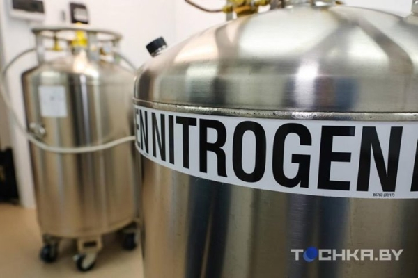 Зачем белорусы замораживают стволовые клетки своих детей Зачем белорусы замораживают стволовые клетки своих детей