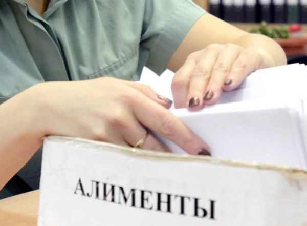 Житель Каменецкого района не выплачивал алименты Житель Каменецкого района не выплачивал алименты
