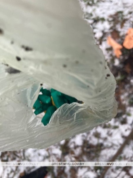 Бдительность таксиста помогла задержать закладчика психотропов в Бресте