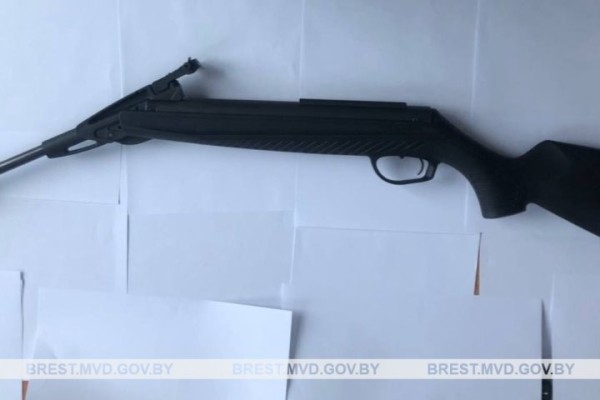 Брестчанин похитил пневматическую винтовку у своего знакомого Брестчанин похитил пневматическую винтовку у своего знакомого