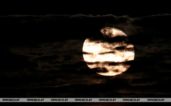 Гороскоп на 2024 год для мужчины-Льва. Смогут все преодолеть и достигнуть небывалых высот