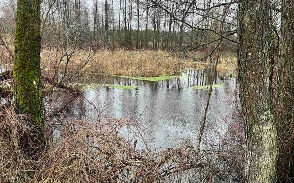 Мужчина утонул в Барановичском районе Мужчина утонул в Барановичском районе