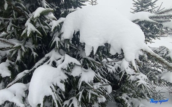 Осторожно, сильный снегопад! Обильные осадки пройдут 3 декабря Осторожно, сильный снегопад! Обильные осадки пройдут 3 декабря